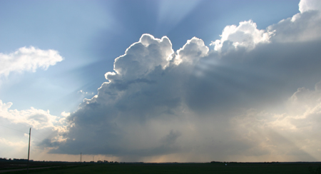 Crepuscular