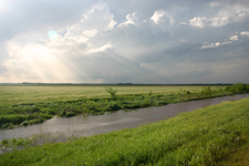 Crepuscular rays