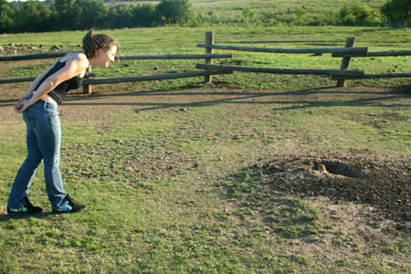 Prairie Dog
