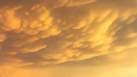 Mammatus