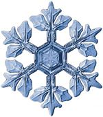 Snowflake