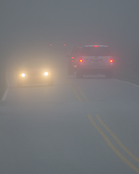 Morning Fog