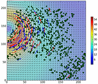 Vortex Model