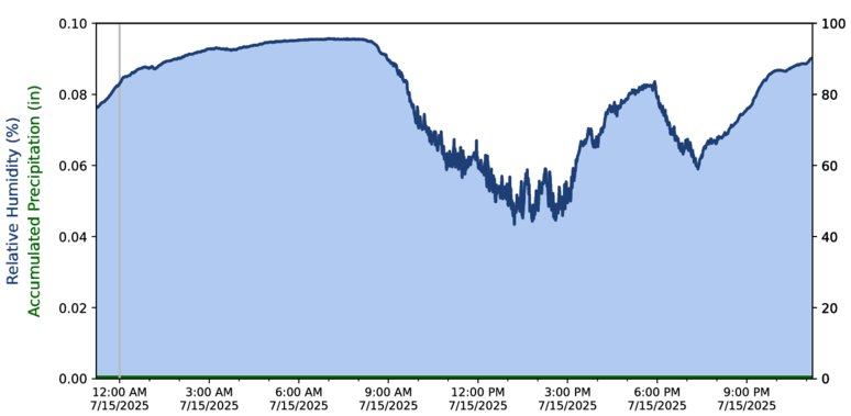 Hourly Rainfall
